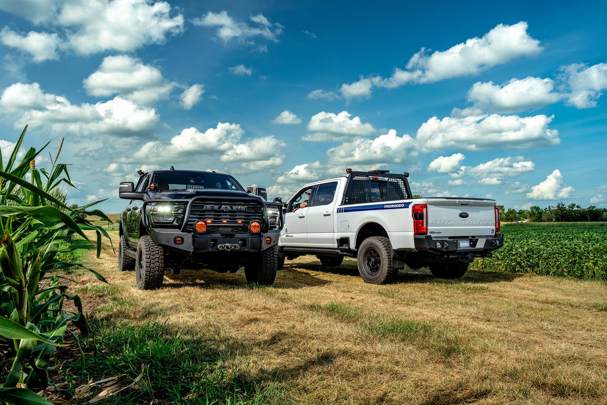 _DSC0005-Enhanced-NR-2