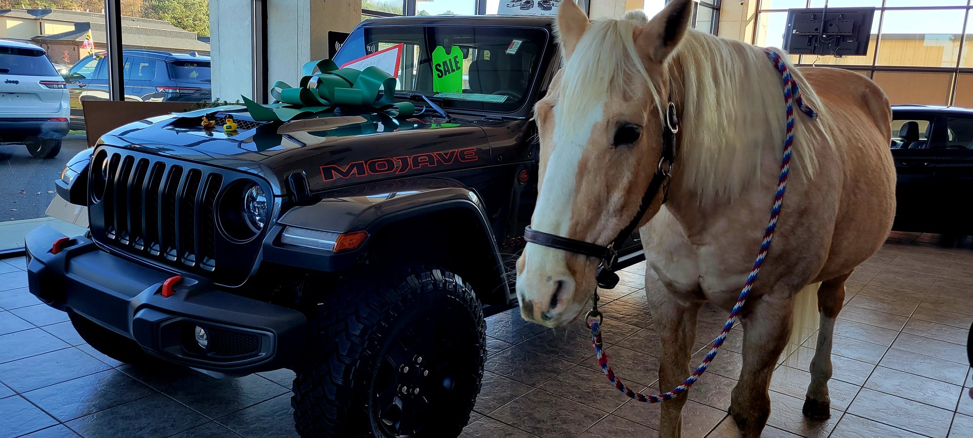 Horse and Jeep inside Certified Agriculture Dealership